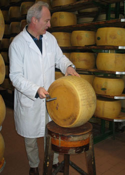 Una quesería del célebre parmigiano-reggiano