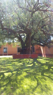 La leyenda del columpio (hacienda Mazaquiahuac)