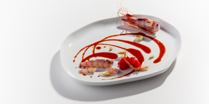 Gamba roja de Denia Twombly QD 2015 by PiP def