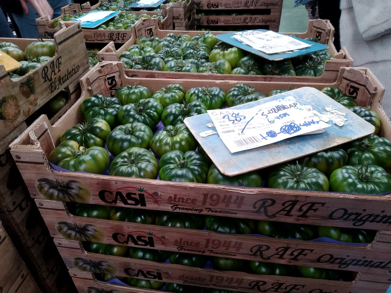 Tomates Raf. Cooperativa Casi