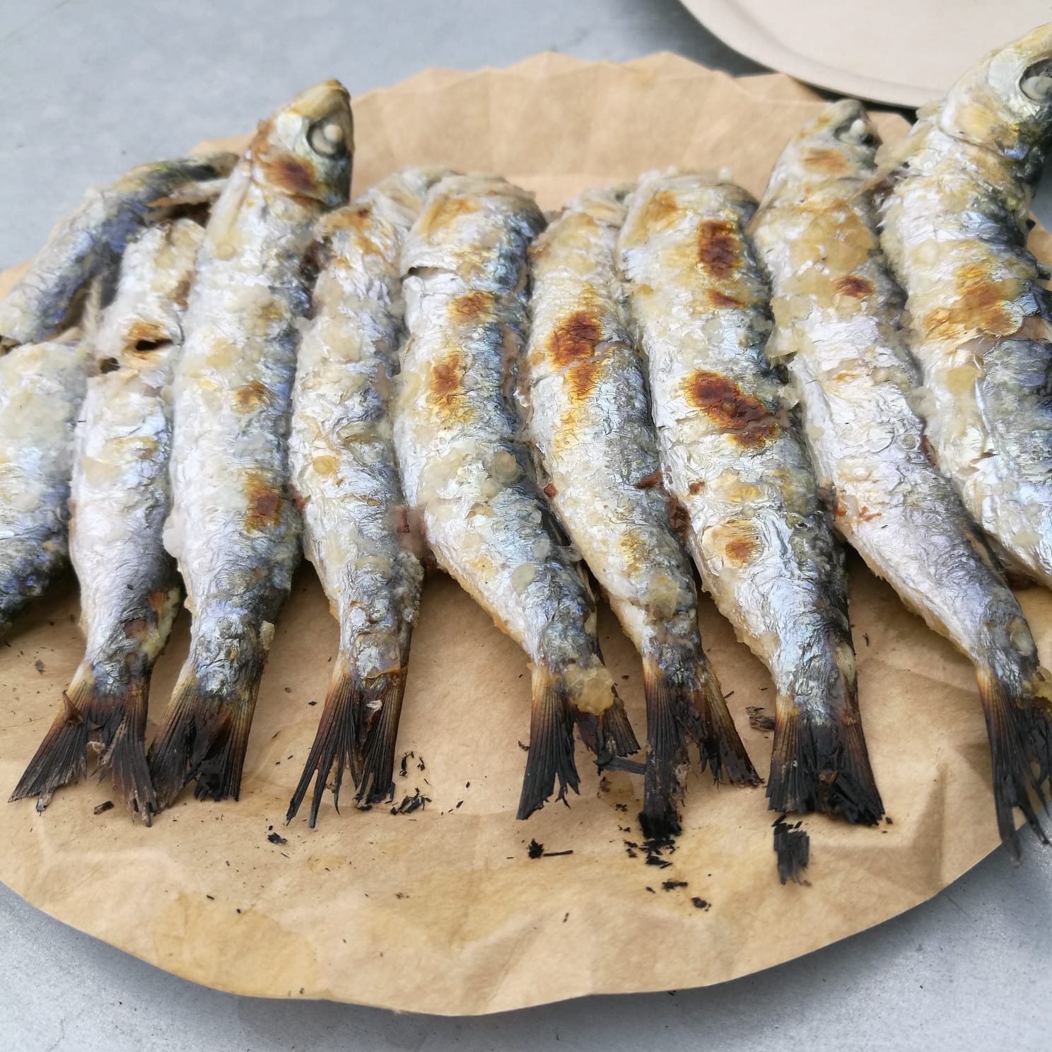 Encuentro de los Mares comienza este domingo con una jornada popular 1