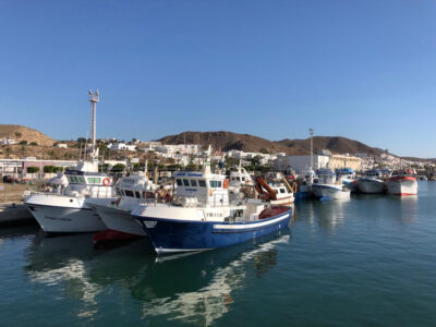 Andalucía en un plato de gambas: Las joyas del Mar de Alborán (I) 9