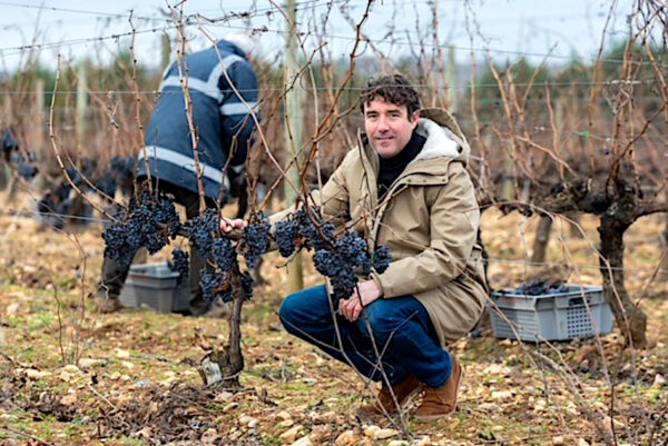 Aritz Espinosa en la viña de Briones donde crece la uva de Dulce Invierno. Foto: Sonia Tercero.