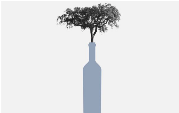 Ilustración Sr García. Árbol en una botella.