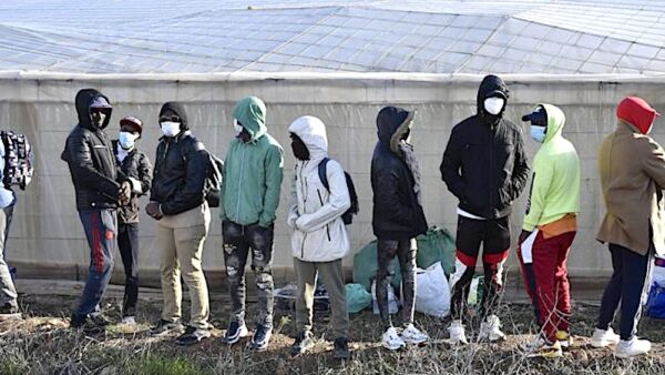 Jornaleros en los invernaderos de Almería. Foto Olabio. El Correo.