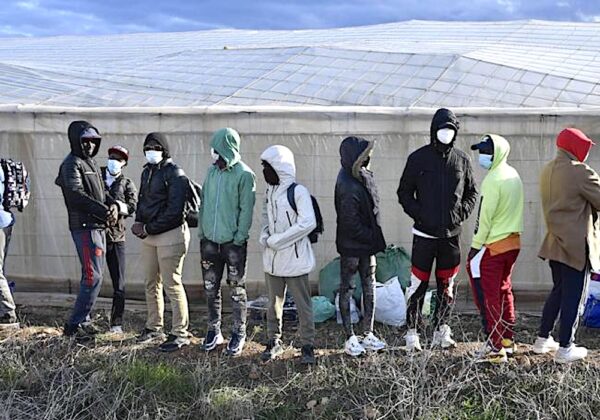 Jornaleros en los invernaderos de Almería. Foto Olabio. El Correo.