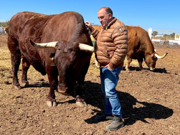 josé Gordon con uno de sus bueyes. El Capricho.