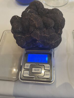 La trufa pesaba 209,9 gramos.