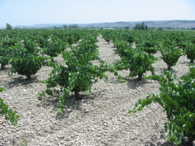 Subzona Arganda (Aranjuez)