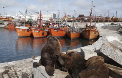 El mayor puerto pesquero de Argentina.