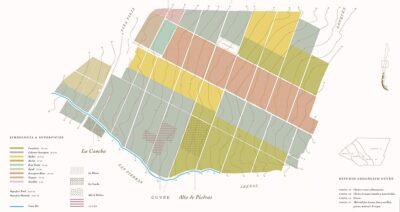 Mapa de viñedos de Santa Inés.