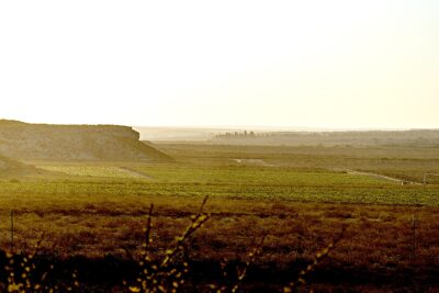 El viñedo transcurre entre la barda uy el río.