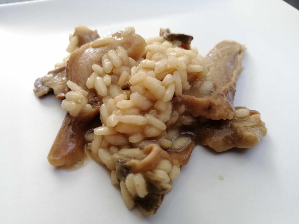 Arroz de boletus edulis