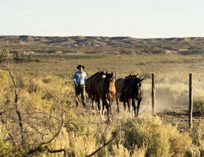 Felipe Menéndez trabaja en Ribera del Cuarzo a lomos de un caballo. Foto, Ribera del Cuarzo.