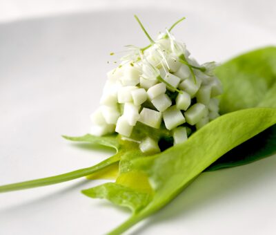 Jibia y sorbet de palta. Pilar Rodríguez en Food y Wine Studio.