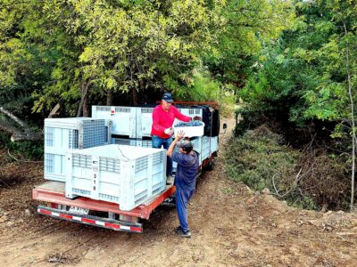 Un camión actual sería muy grabnde para los viñedos vijos y pueqeños