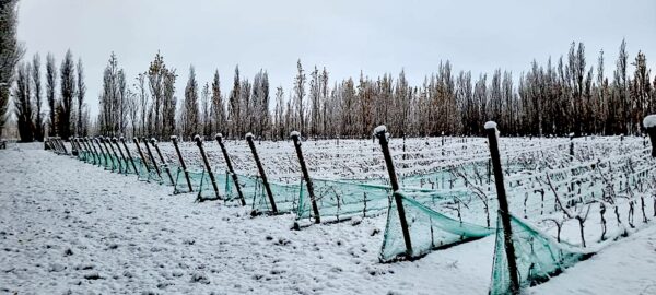 En verano hay 16 horas de insolación al día, pero la nieve llega pronto.