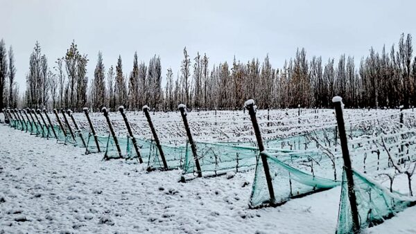 En verano hay 16 horas de insolación al día, pero la nieve llega pronto.