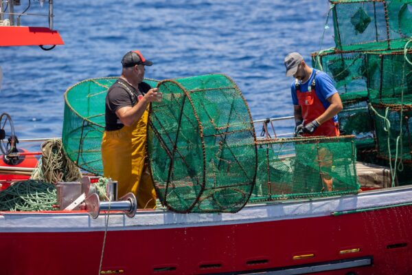 Pesca en nasas