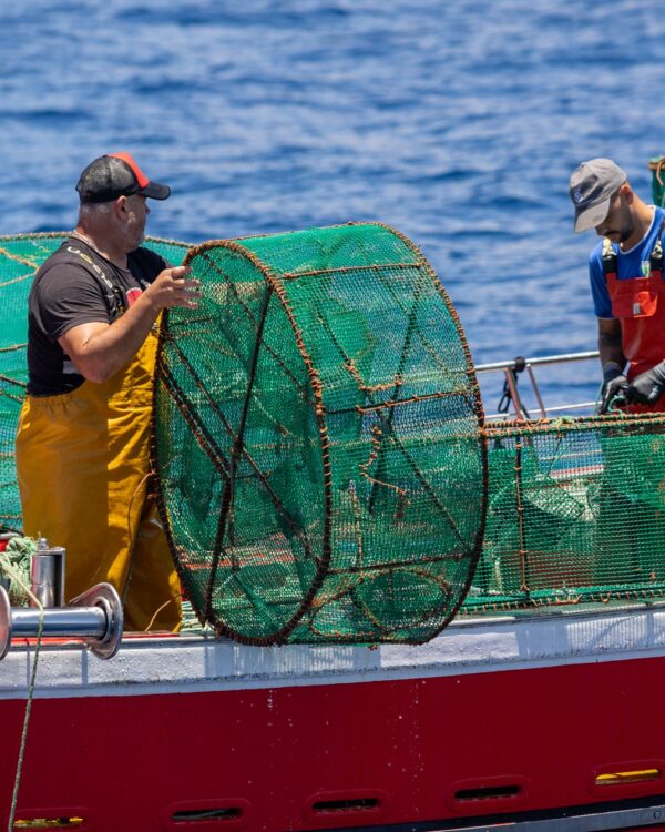 Pesca en nasas