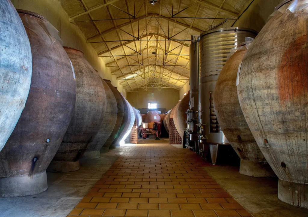 De la airén a la bobal, una travesía por la rutas enológicas del vino castellanomanchego 0