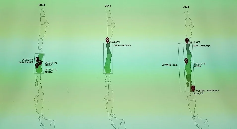 Felipe Tosso: Ya hemos ampliado dos veces el mapa vitivinícola de Chile 4