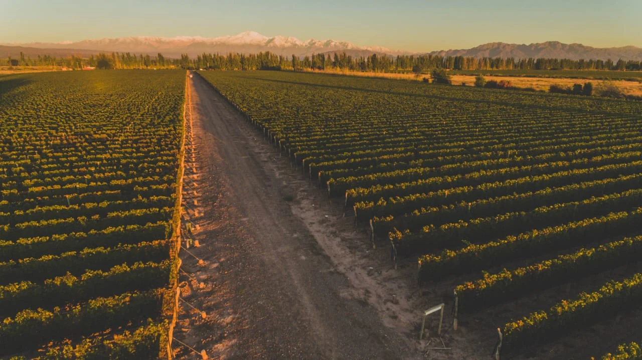 Leonardo Quercetti: el estilo pertenece a la bodega, no al enólogo 0