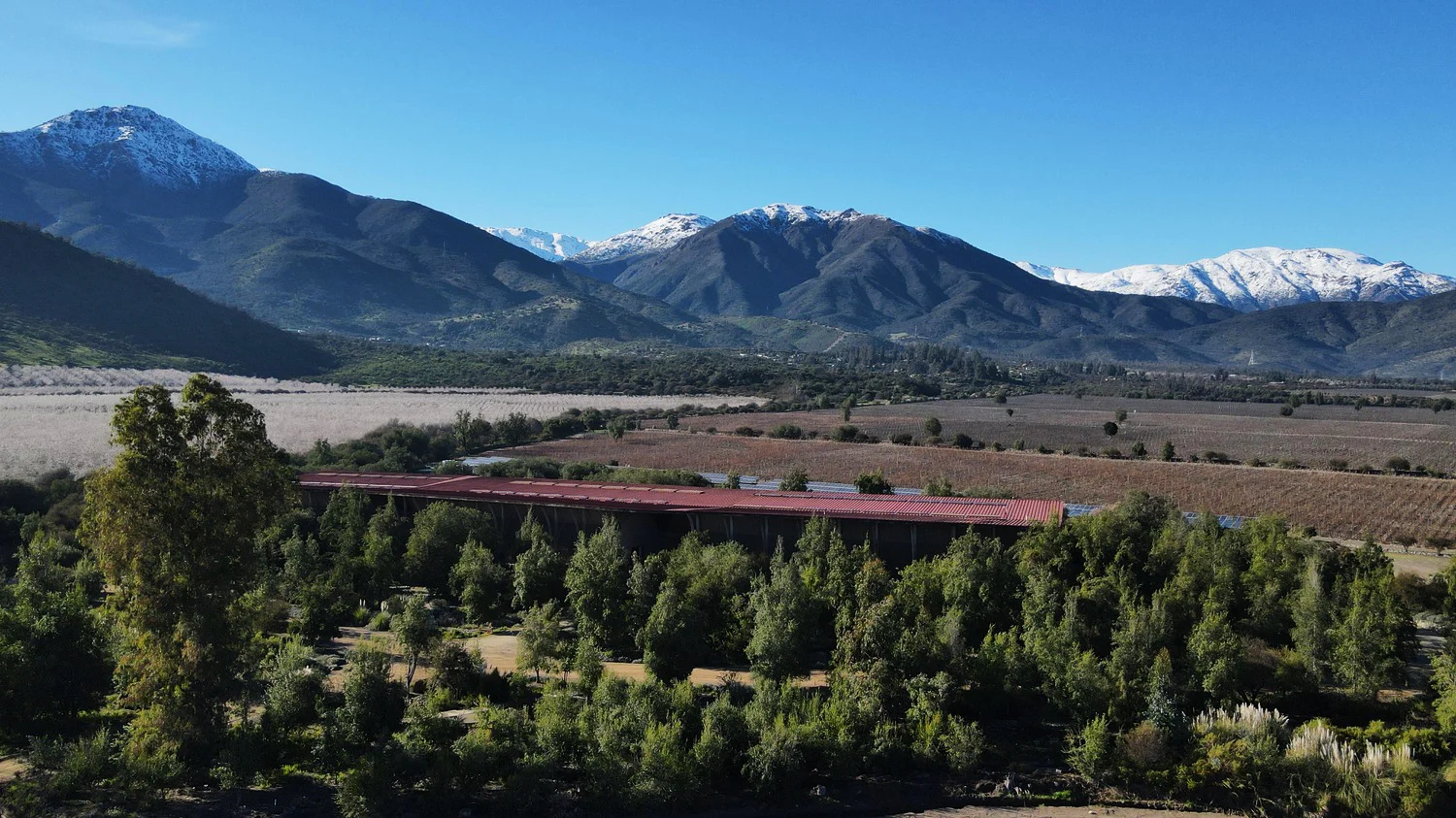 Drones para la viticultura en Chile 0