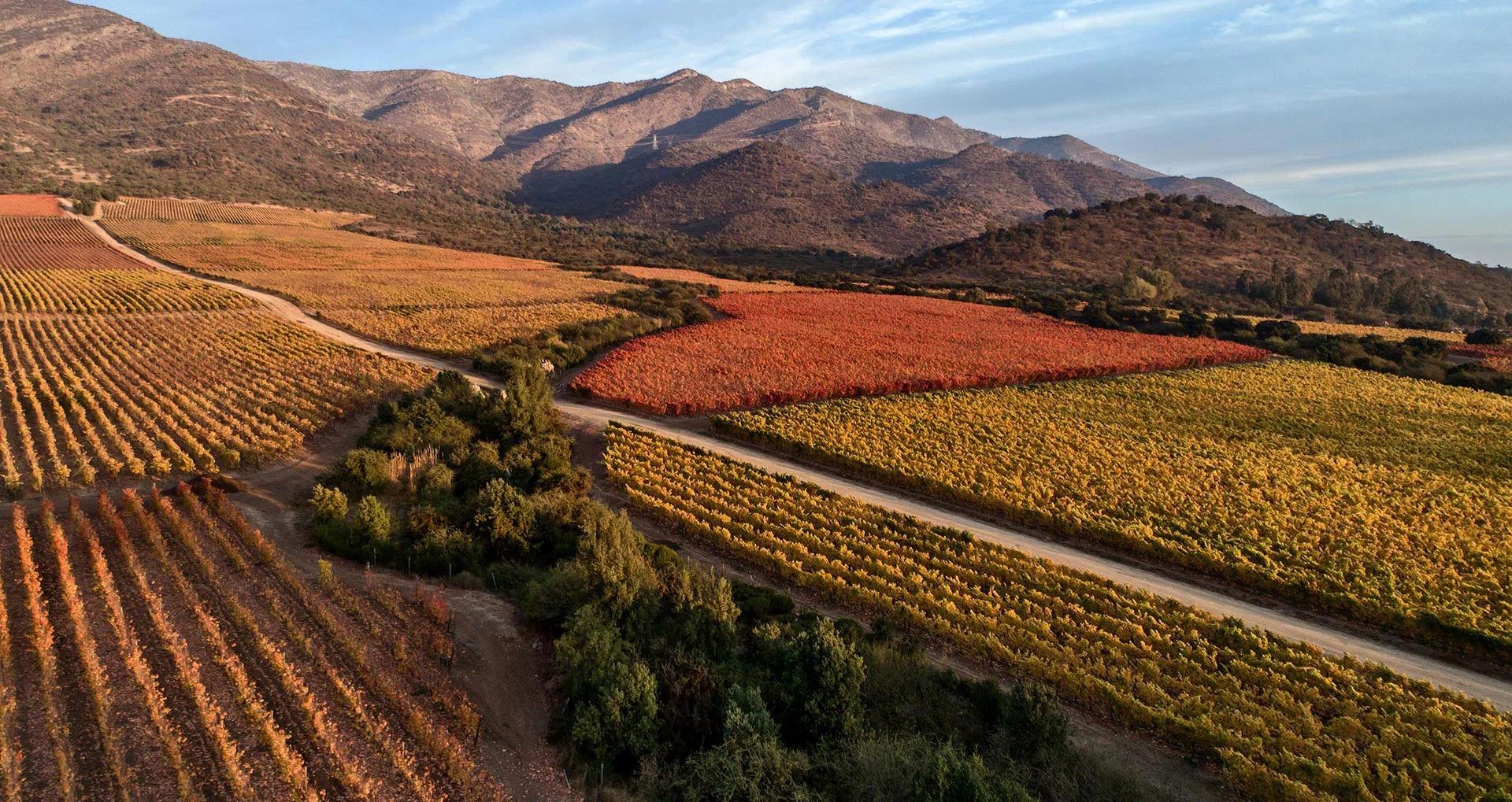 Comer, beber… y amar Colchagua